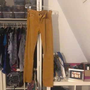 Citizens velveteen pants